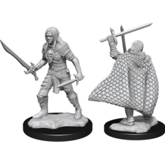 Elf Fighter - Male - 90169 - Pathfinder Battles Deep Cuts Unpainted Minis